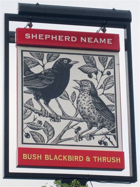 Bush, blackbird and thrush reviews  Order food online